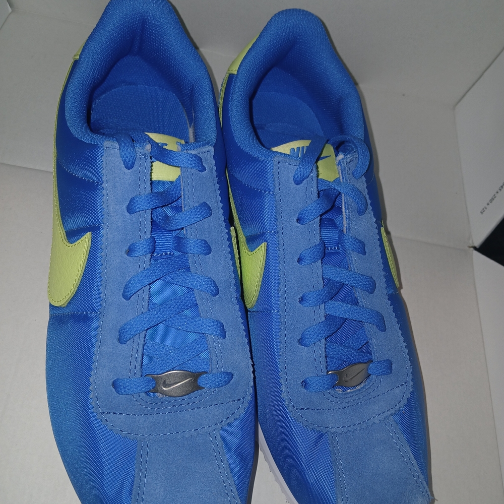 Nike Kids Blue and Green Sneakers